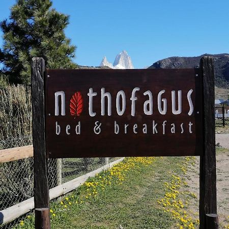 Nothofagus Bed&Breakfast El Chaltén Exterior foto